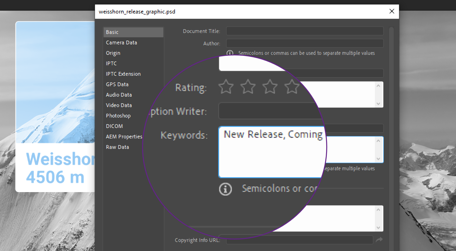 Metadata Approval Workflow Embedded Metadata