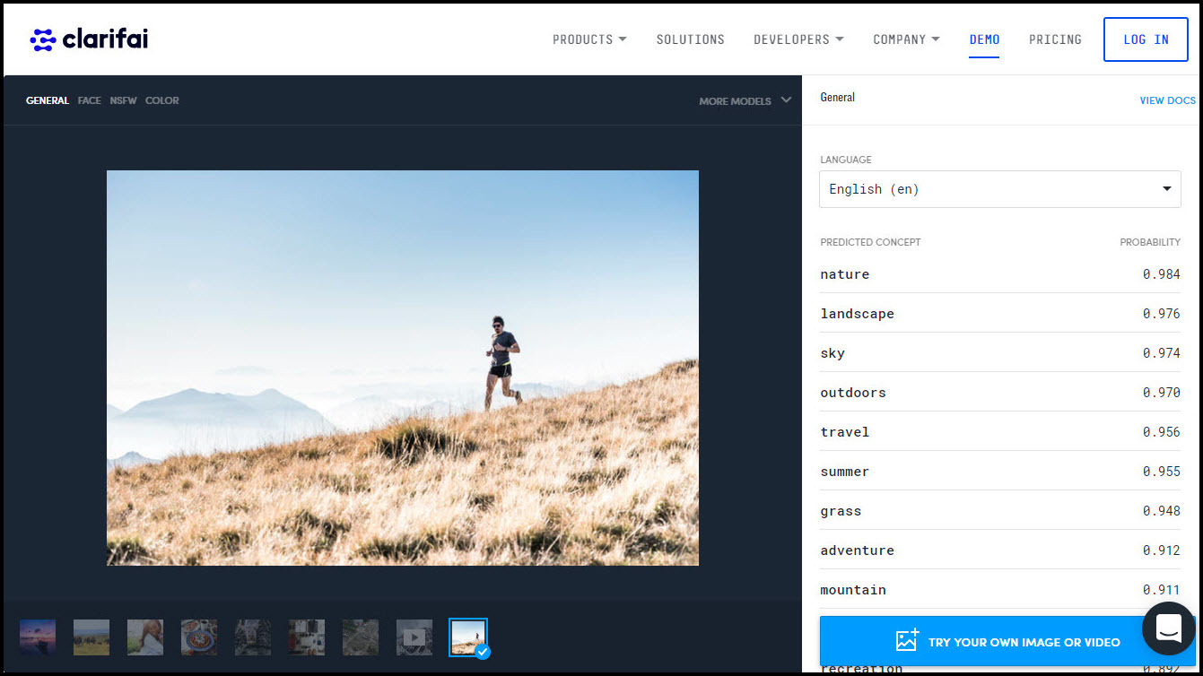 Ein Blick auf Clarifais browserbasiertes Bilderkennungs-Demo.