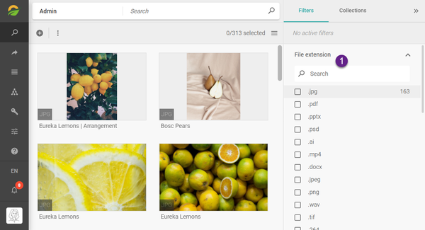 File Types in your Picturepark as Filter in the Sidebar