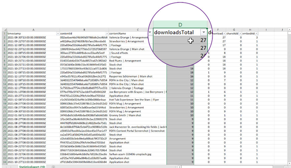Total der Downloads im Statistik-Export