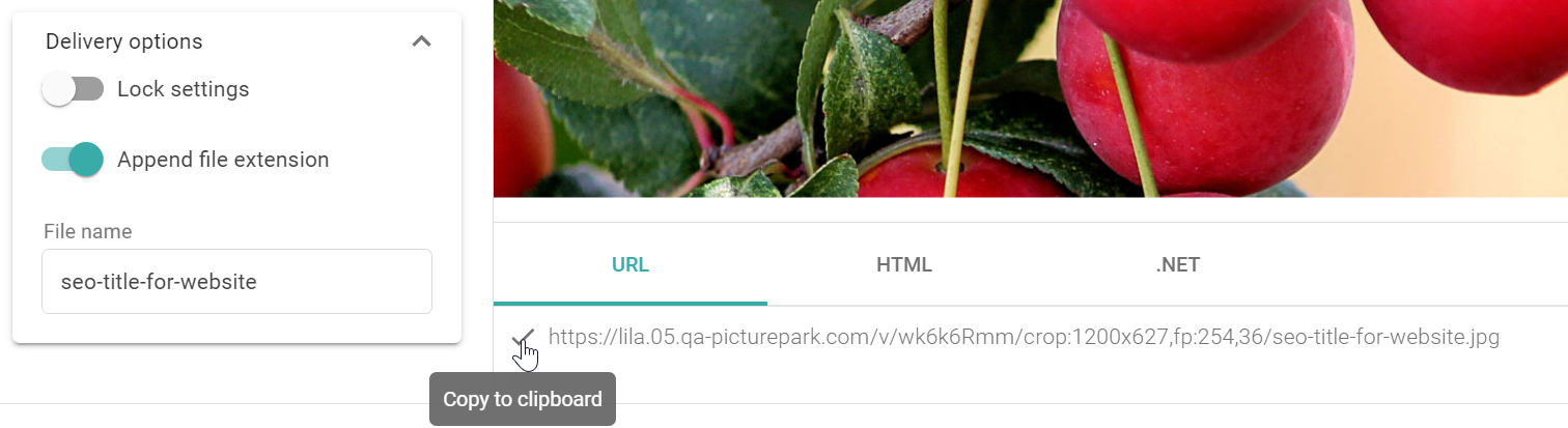Embed links for images with dynamic conversion parameters in the URL