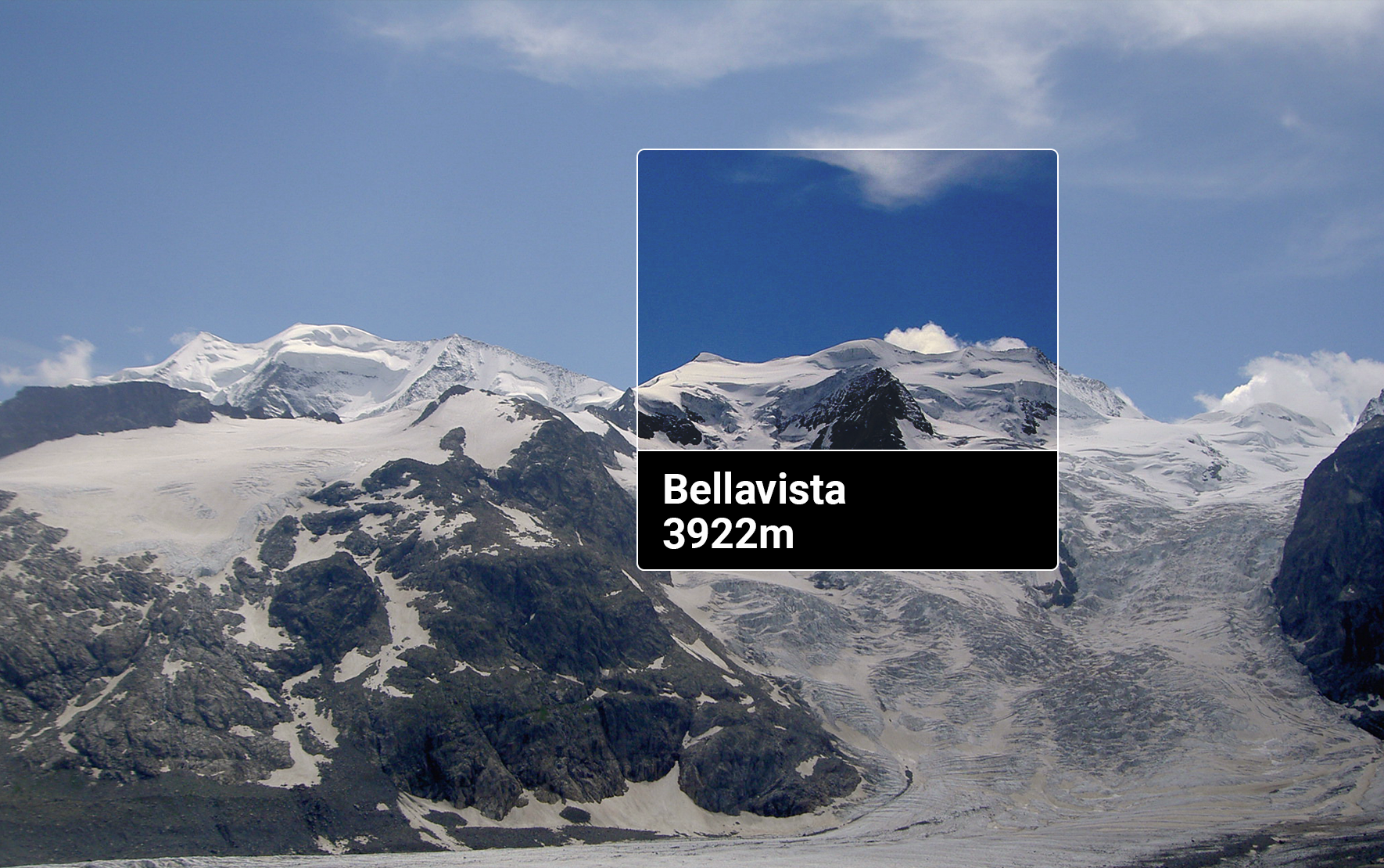 Bellavista Release Picturepark 11.2